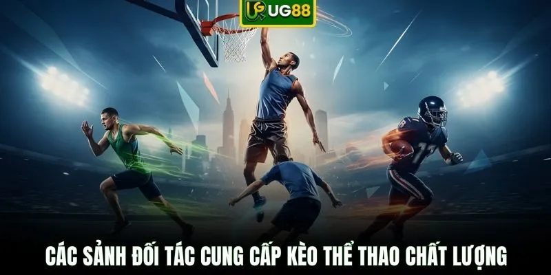 Các sảnh đối tác cung cấp kèo thể thao chất lượng