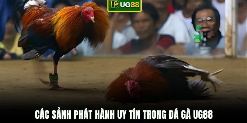 Các sảnh phát hành uy tín trong đá gà UG88