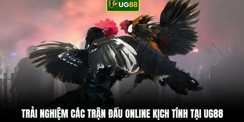 Trải nghiệm các trận đấu online kịch tính tại UG88